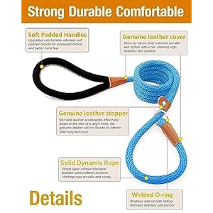 lynxking-Dog-Leash-Slip-Lead-5-6-8-FT-Dog-Training-Leash-Strong-Heavy-Duty-Braided-No-Pull-Training-Lead-Leashes-for-Small-Medium-Large-Dogs - Cucciolini Doodles   lynxking-Dog-Leash-Slip-Lead-5-6-8-FT-Dog-Training-Leash-Strong-Heavy-Duty-Braided-No-Pull-Training-Lead-Leashes-for-Small-Medium-Large-Dogs