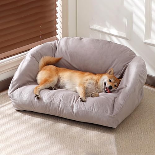 JUNENTER Lpybg\t@xbh ybgJE`xbh LGAt OE\ȃJo[Ɗ~ߒ lԍHwɊÂT|[g͂̂鏬^E^pxbh O[