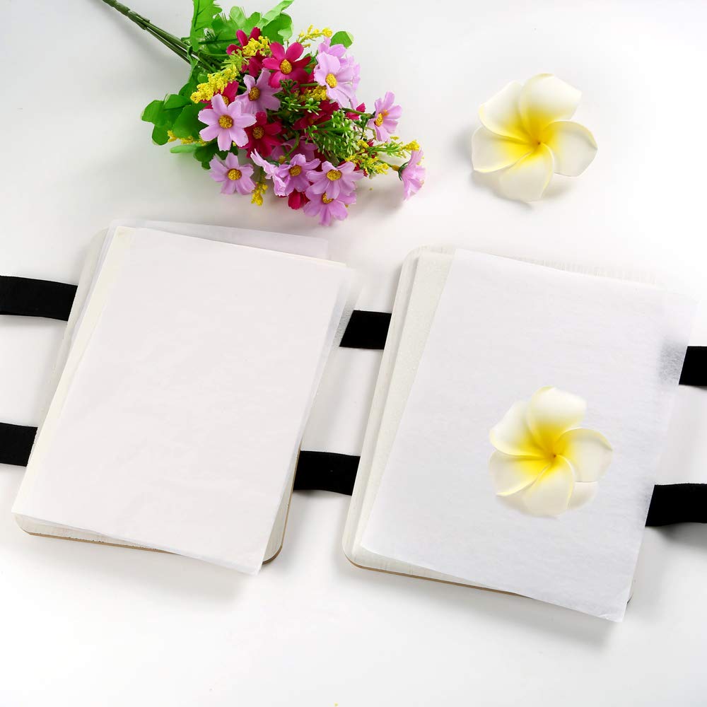 Amazon.co.jp: Auihiay フラワープレスキット 6 x 8インチ 5層リーフ