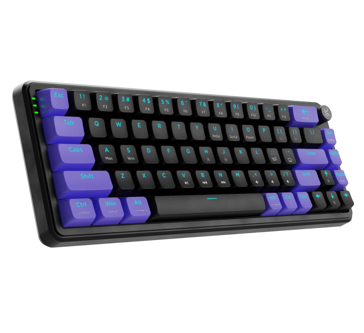 Kreo Hive RGB Anti-ghosting Gaming Keyboard | 75% Tenkeyless Wired Mechanical Keyboard with RGB Backlight Brown Switches & 3 Color Key Caps | Detachable USB C Cable (Purple, Hive 65)