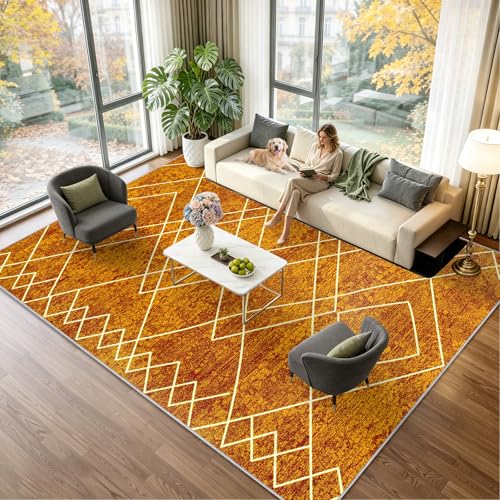 Tapis lavable en machine grand format antidérapant style moderne - 2