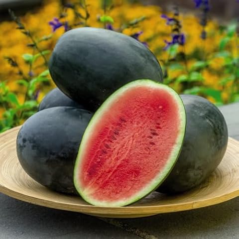 Thompson & Morgan Watermelon 'Little Darling' F1 Seeds Cover