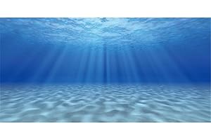 AWERT Aquarium Background - 48x24" Seabed Scene
