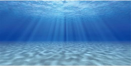 AWERT Undersea Theme Aquarium Background Sunshine Underwater World Fish Tank Background 60x24 inches Durable Polyester Background