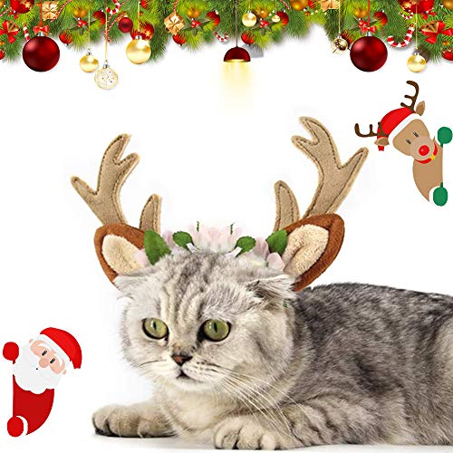 CHEPL Cani Antlers Fasce Antlers Corni Fascia per