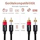 Amazon Basics RCA Cinch-Audiokabel 2-Stecker auf 2-Stecker, 10 m, Schwarz