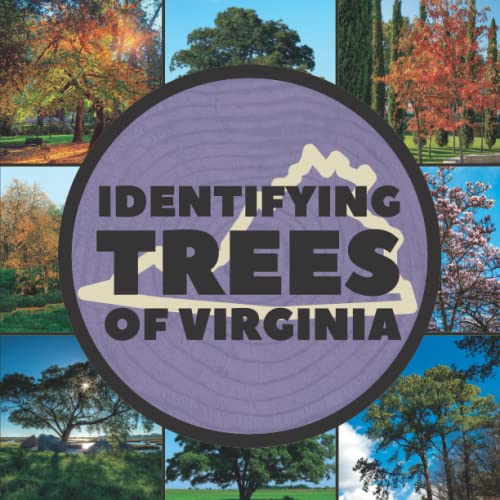 Top 10 Best Book For Identifying Trees Reviews & Buying Guide Katynel