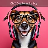 Pet Music Academy