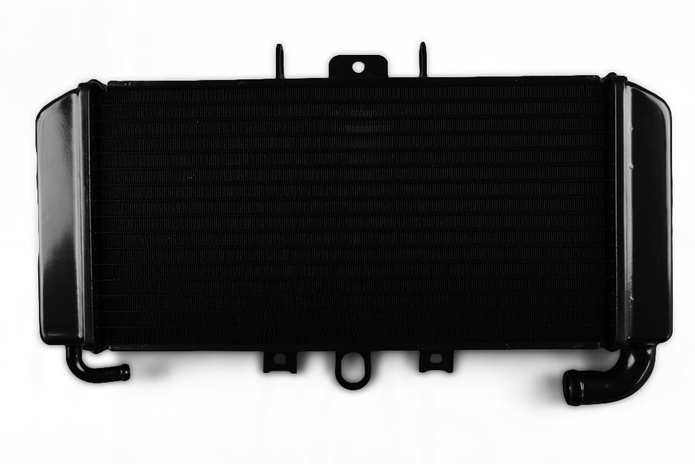avdb-Moto Radiateur d'eau Compatible avec Yamaha FAZER 600 FZS RJ02 1998-2001, FAZER 600 FZS RJ025 2002-2003, FAZER 600 FZS RJ025 2002-2003, FAZER 600 FZS RJ02 1998-2001
