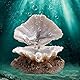 Zerodis Aquarium Shell Ornament, Harz Aquarium Shell Pearl Bubbler Korallenriff Belüftungsaktion Landschaft Künstliche Aquarium Dekoration