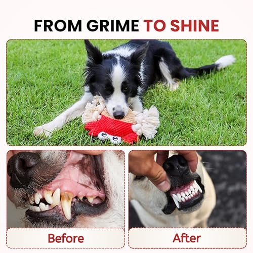 Foodie Puppies Dog Squeaky Plush Rope Toy - (Crustacean Plush Toy) | Non-Toxic, Stuffed, Teething, Chewing, Playful, Crinkle & Cuddly Toy | Intelligence Toys for Small Dogs and Puppies (Size: 14cm) (Image - 7)