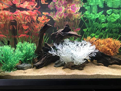 BEGONDIS 2 piante acquatiche artificiali, decorazioni per acquario, realizzate in plastica morbida, ideali per tutti i pesci e gli animali domestici (pianta grande - verde) - Image 3