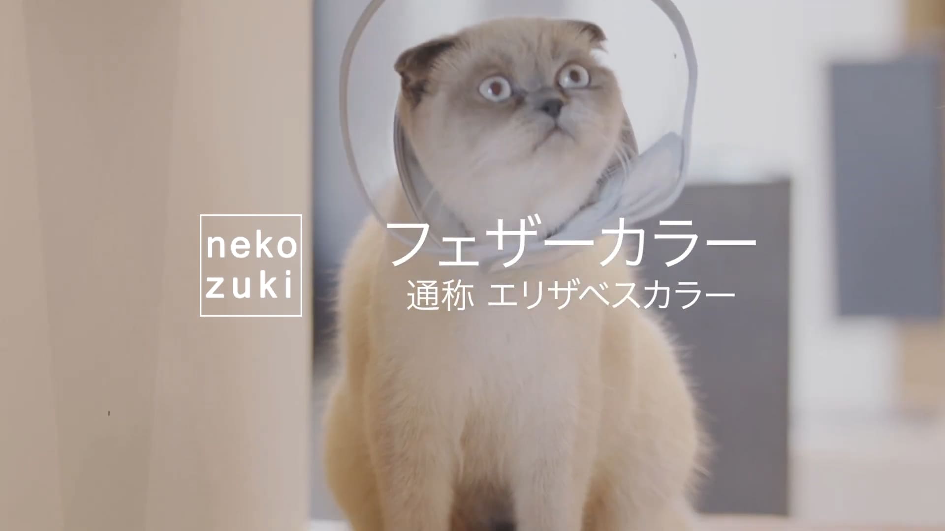 猫 柔らかい エリザベスカラー 獣医推薦 nekozuki フェザーカラー 布