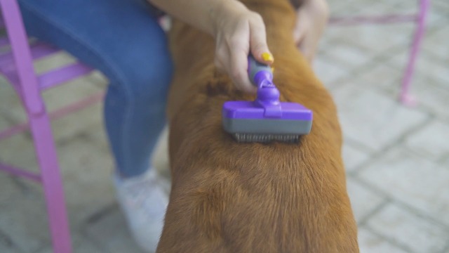 Hertzko Self-Cleaning Slicker Brush for Dogs - The Ultimate Dog Brush for Shedding Hair, Fur, - Comb for Grooming Long… - Image 8