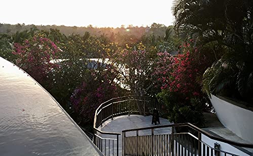 Davitu DC Motor - A special link:20PCS 34:1 gearbox,epacket for Netherlands