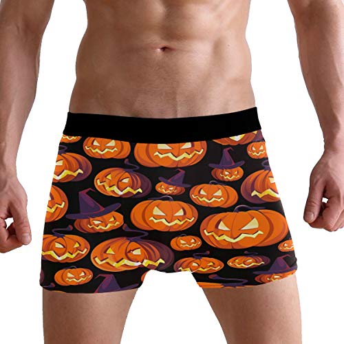 ZZKKO Raccoon Mens Boxer Briefs Underwear Breathable Stretch Boxer Trunk with Pouch S-XXL3