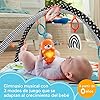 Fisher-Price Gimnasio de actividades musicales 3 en 1 Alfombra con luces, sonidos y accesorios, juguete para bebé recién nacido (Mattel HPF39) #1