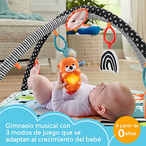 Variante de Fisher-Price gimnasio bebe 3 en 1 con luces y música