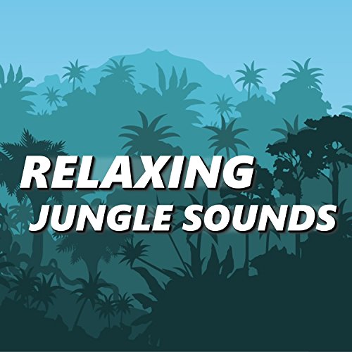 Relaxing Jungle Sounds Jungle Sounds Digital Music