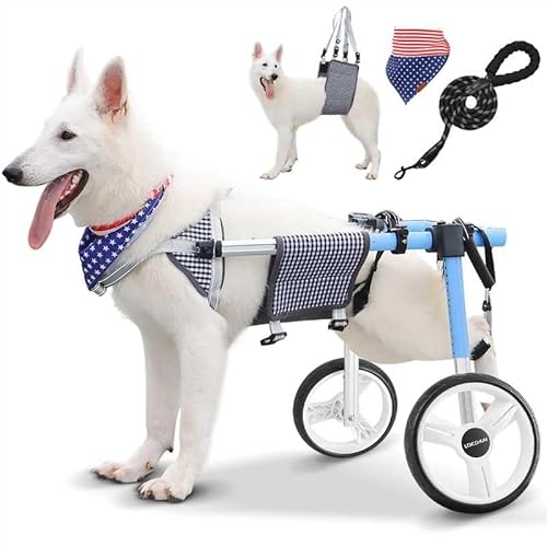 Lokshun Large Dog Wheelchair for Back Legs with Multi-Function Pet Lift, Wheelchair for Dogs Thickened, Adjustable Back Leg Dogs Wheel Chair, Dog Carts with Wheels for Disabled Hind Legs (Grid-XXL)