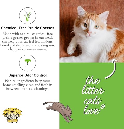 Image of Dr. Elsey's Touch of Outdoors Bentonite Cat Litter, Natural Chlorophyll for Odour Control, Dust-Free, Quick Absorption, Hard Clumping, Reduces Stress, Multi-Cat Friendly - 9.08 kg