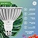 GE Grow LED Light Bulb, PAR38 Flood Light, Indoor LED Grow Lights for Flowers and Fruit, Advanced Red Light Spectrum, 25,000 Hour Lifespan, 50 PPF, 1 Pack (Packaging May Vary)