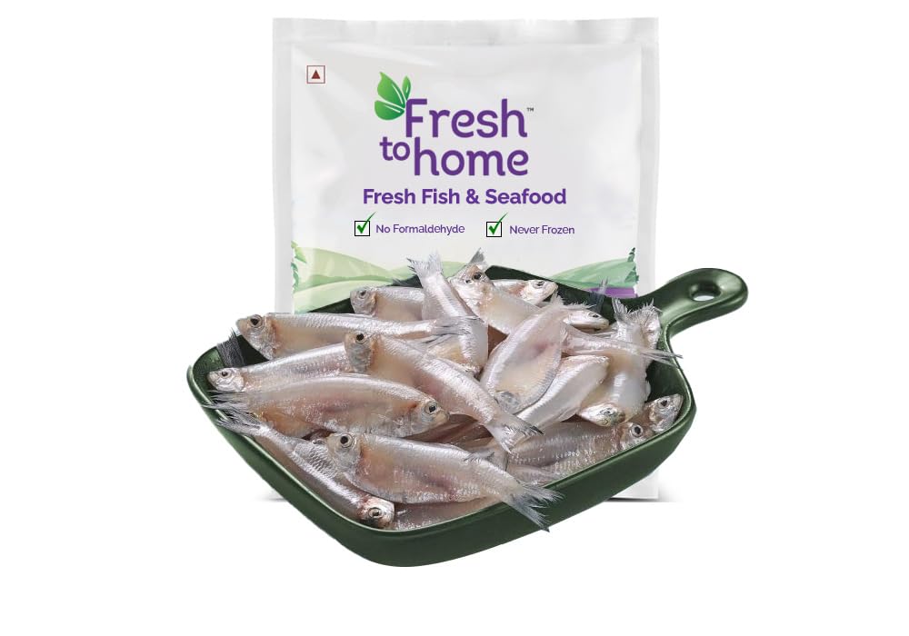 FreshToHome White Sardine/Veloori/Silver Fish/White Fish | Whole | 480g to 500g Pack-image-33