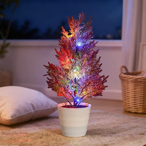 Image of Artificial Cedar Tree Lamp, Color Changing LED Light with White Pot, Battery Powered for Bedroom Wedding Christmas, Gifts for Women Mom Grandma Girlfriend on Birthday Christmas Valentines Mothers Day
