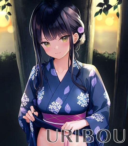 Amazon.co.jp: WスエードB0タペストリー mignon ver5 : おもちゃ