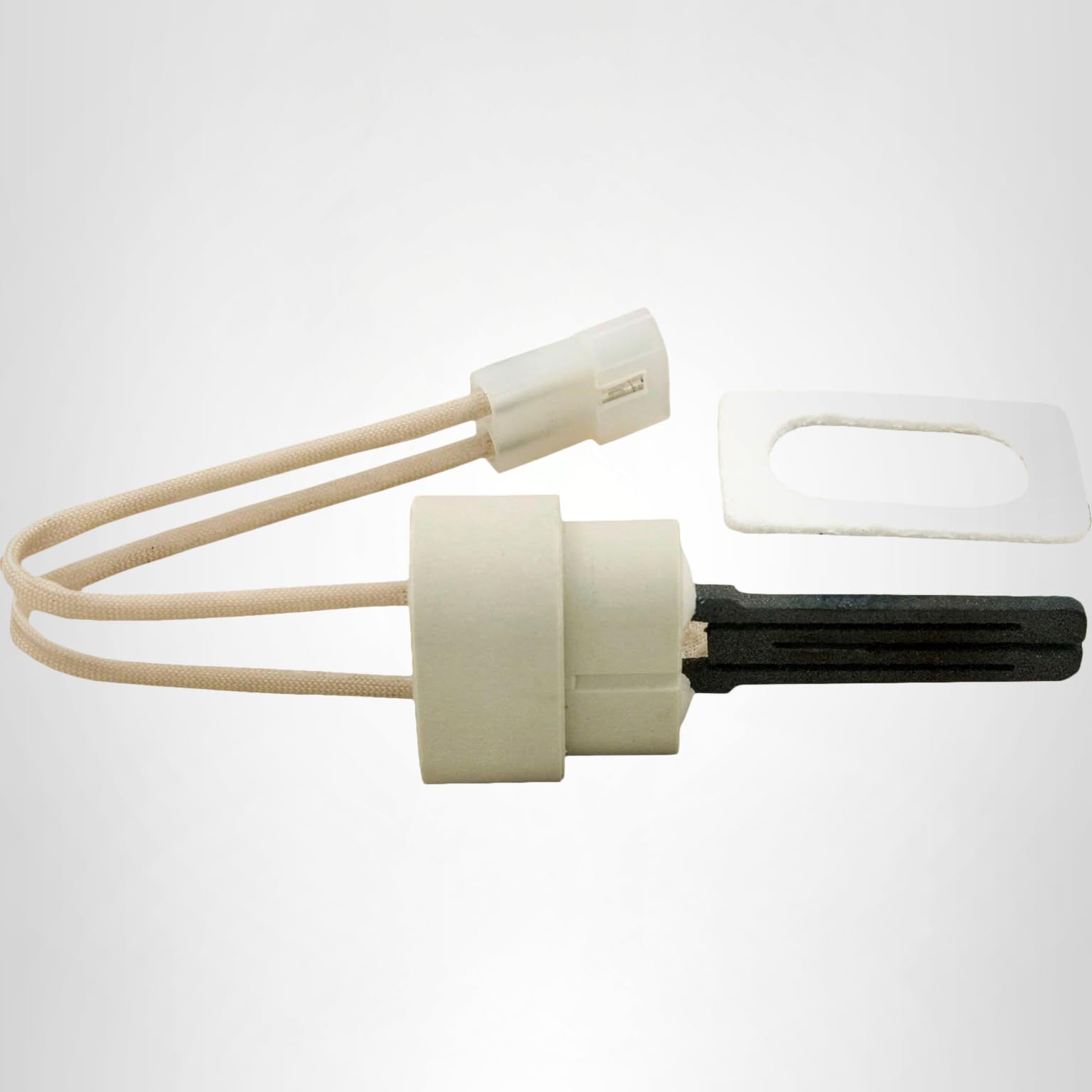 Amazon.com : Pentair 77707-0054 Igniter and Gasket Replacement Kit