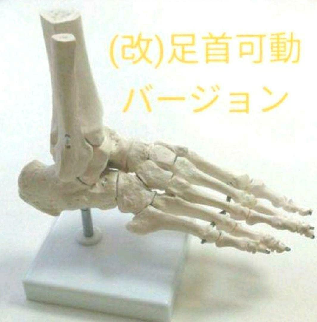 TAIWAN製／ET人形。手足が可動、首も動きます【高さ／17センチ程箱無し】 足関節用サポーター「エクスエイド アンクルFO」製品情報 | 日本