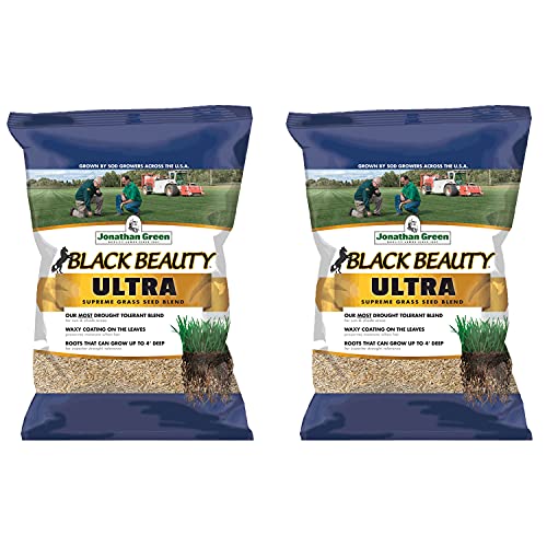 Find The Best Shade Grass Seed Mix Reviews & Comparison Katynel
