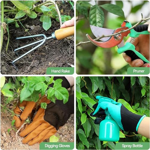 Jardín, Sports Imagen adicional