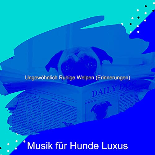 Luxus Horbucher Amazon Music Bild