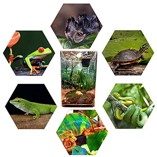 CXJC Reptielenkooi Insectenvoerdoos Acryl Transparant Plastic Desktop Reptielendoos met meerdere ventilatieopeningen en… - Afbeelding 6