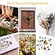JazRvr Blumenpresse 11-teiliges Set, Blumenpresse Kinder, Pflanzenpresse für kreative Bastelprojekte, Kompaktes DIY Werkzeug für Naturliebhaber, Ideal für Familienaktivitäten und Geschenke