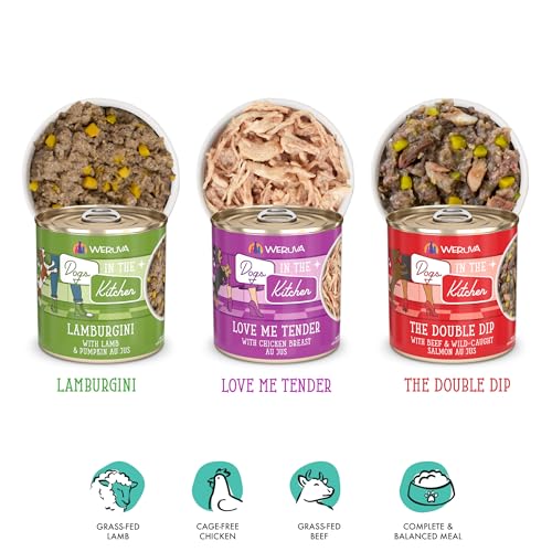 Weruva Dogs in the Kitchen Doggie Dinner Dance Variety Pack Wet Dog Food 10oz Cans pack of 12  Cucciolini Doodles Weruva dogs in the kitchen doggie dinner dance variety pack wet dog food 10oz cans pack of 12   cucciolini doodles