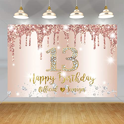 Happy 13th Birthday Decorations Backdrop Banner for Girls Happy 13 Years Old Party Sign Poster Girl Rosegold Photography Background 13th Birthday Party Supplies, 150x90cm / 59"x35.4" by Tecreo - Used condition - CA$7.48