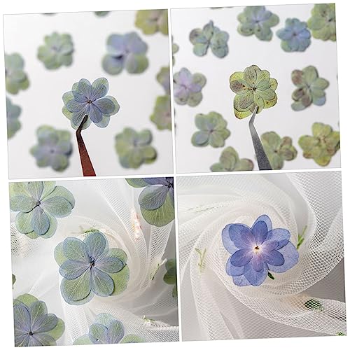 Magiclulu 30 piezas flores secas prensadas para manualidades miniatura 5