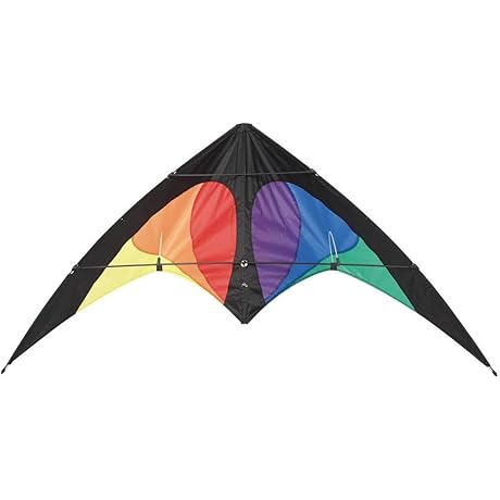 HQ Kites Bebop Series Dual-Line Sport Kite, Color: Prisma