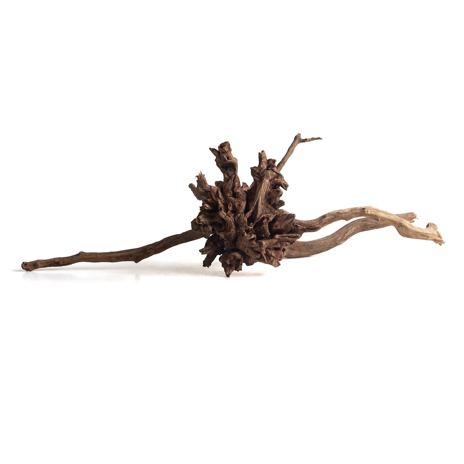 emours Bois flotté naturel pour aquarium, bois flotté unique pour décoration d'aquarium, terrarium et exposition de reptiles (30-40 cm)