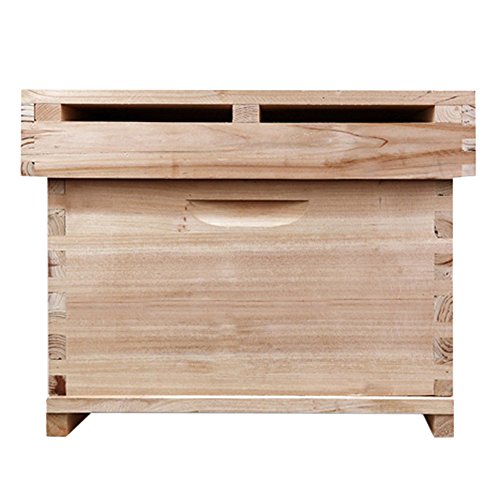 Chinese Bee Apis Mellifera 7 Frame Beehive Box Extension Beekeeping tool