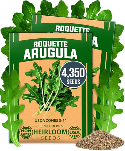 Image of HOME GROWN Arugula Roquette Seeds 4350+ Bulk Pack Heirloom Non-GMO, High Germination, Peppery Salad Greens, Indoor Outdoor Hydroponic Garden, Microgreens, Year-Round Harvest (Eruca vesicaria)