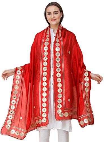 Dupatta from Amritsar Embellished with Patch Border4