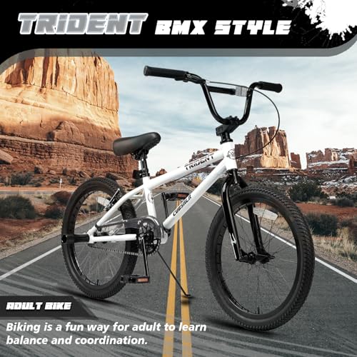 cubsala 20 Inch BMX Race Bike