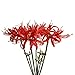 Qingriver 4 Stems 26.38' Artificial Spider Lily Flowers Lycoris Radiata for Home Garden Decoration Red
