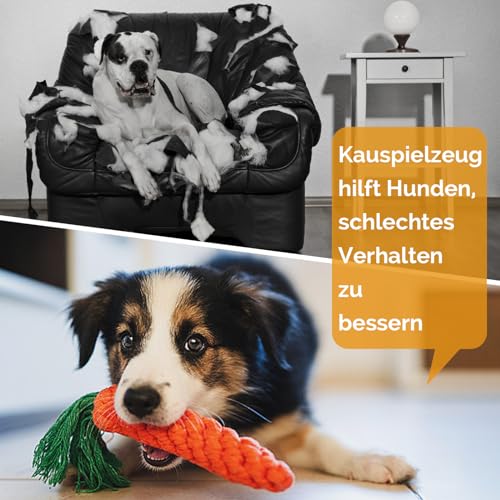 Wodondog Hundekauspielzeug,welpenspielzeug,8 Stück Spielzeugset für Welpen,Tauziehen Plüschhundespielzeug, Natürlicher Baumwolle & Ungiftig, Lindern Sie Stress und Langeweile