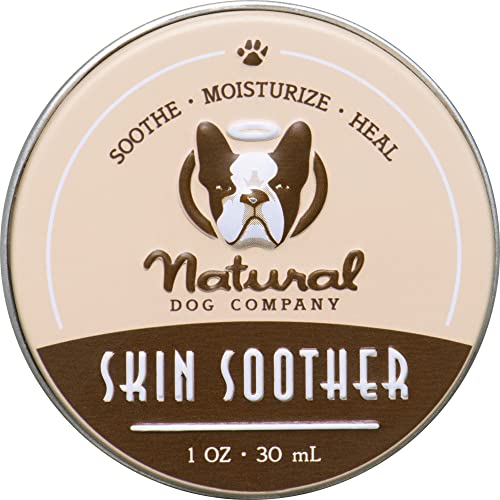 Treating a Dog’s Sore Bottom Safe Creams & Natural Remedies