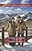 Colorado Courtship: Winter of Dreams\The Rancher's Sweetheart (Love Inspired Historical)