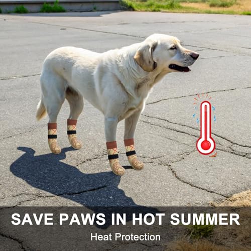 BEAUTYZOO Hundesocken Anti Rutsch, Doppelseitige Hundesocken Leckschutz mit Klettverschluss Riemen für Innenbereich Pfotenschutz für Hunde, Schuhe für Kleine, Mittlere und Große Hunde, 6er-Set
